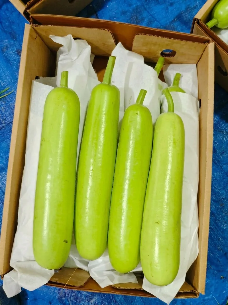 Vegetables image 26