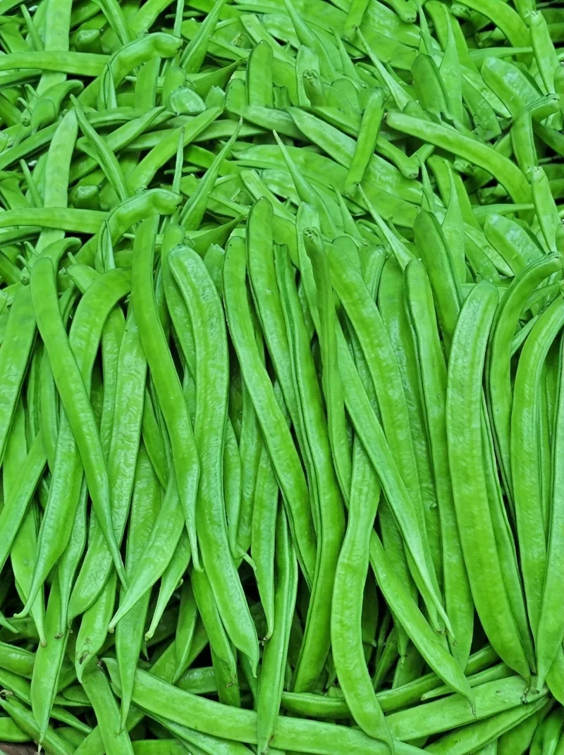 Vegetables image 12
