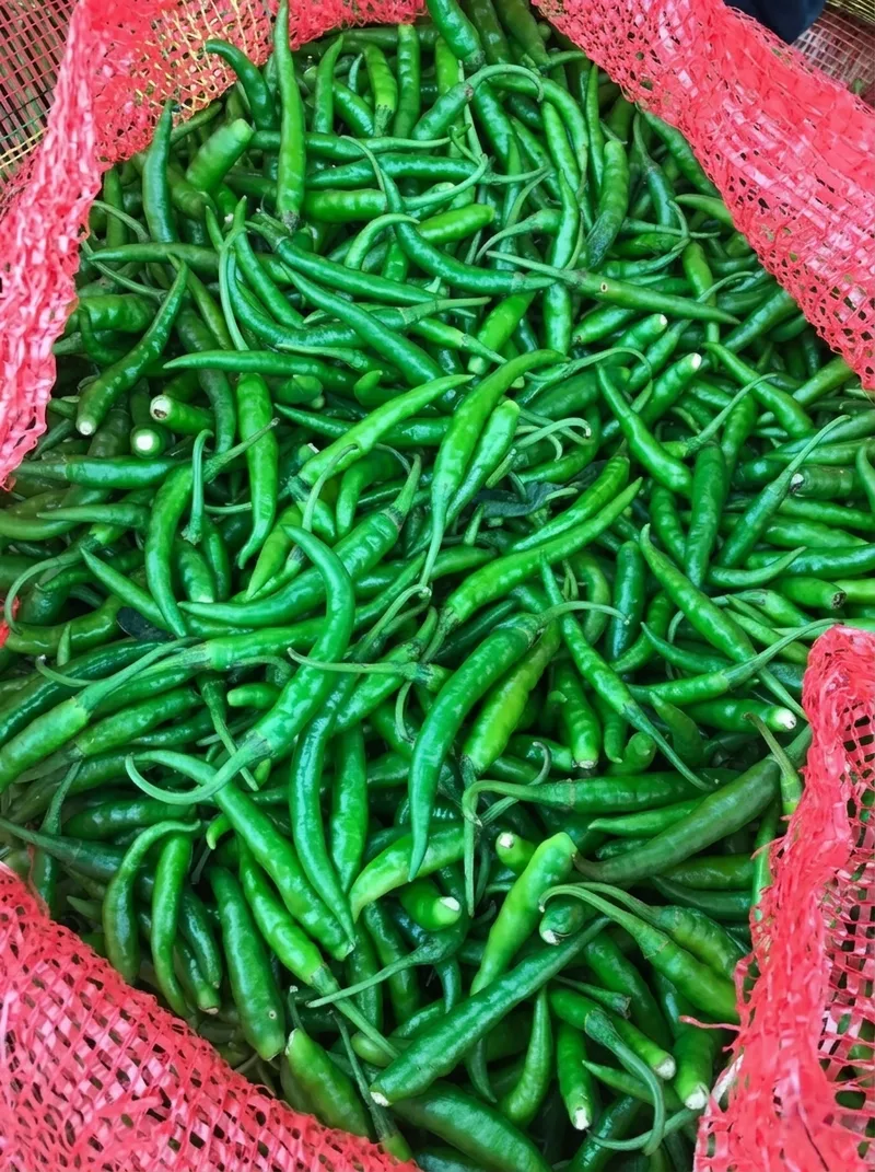 Vegetables image 2