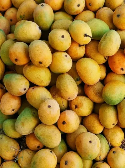 Kesar Mango