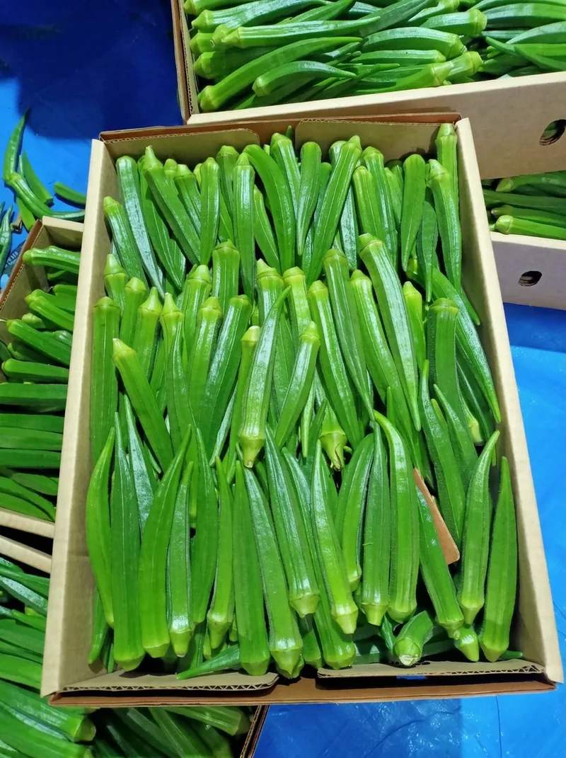 Vegetables image 5