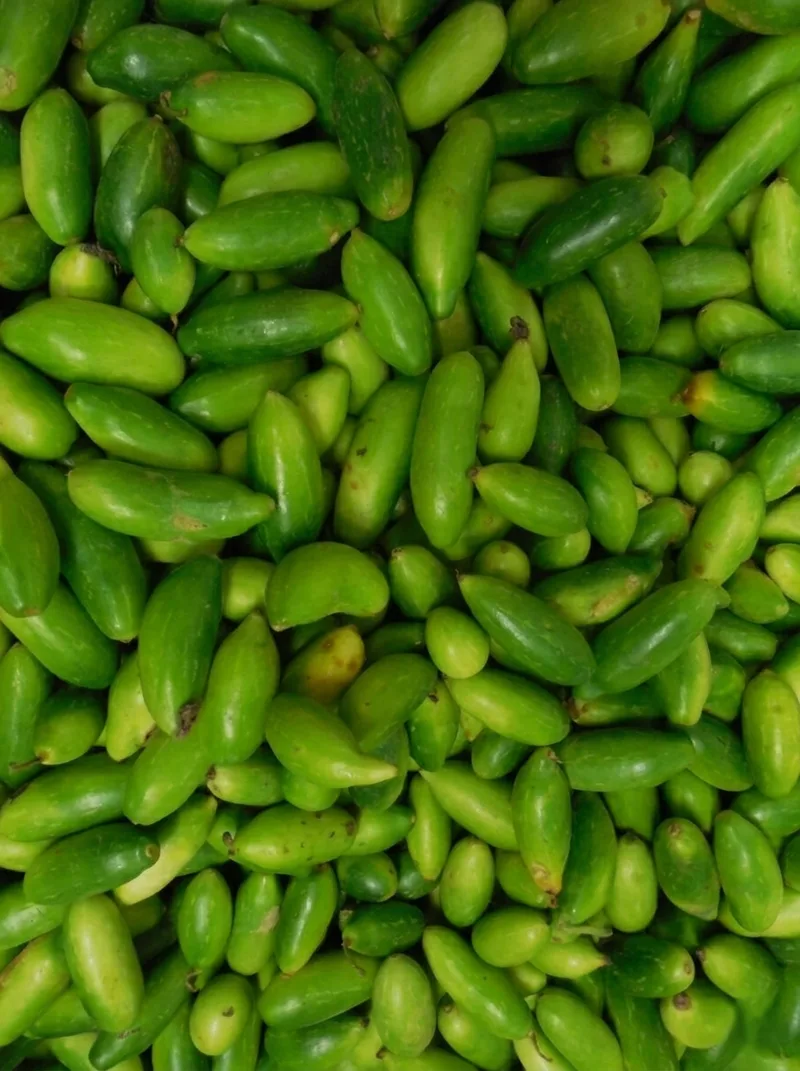 Vegetables image 10